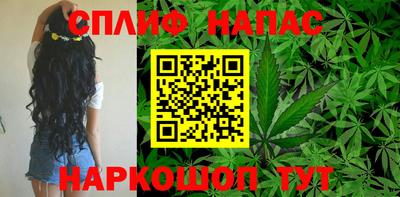 гидра Пушкино