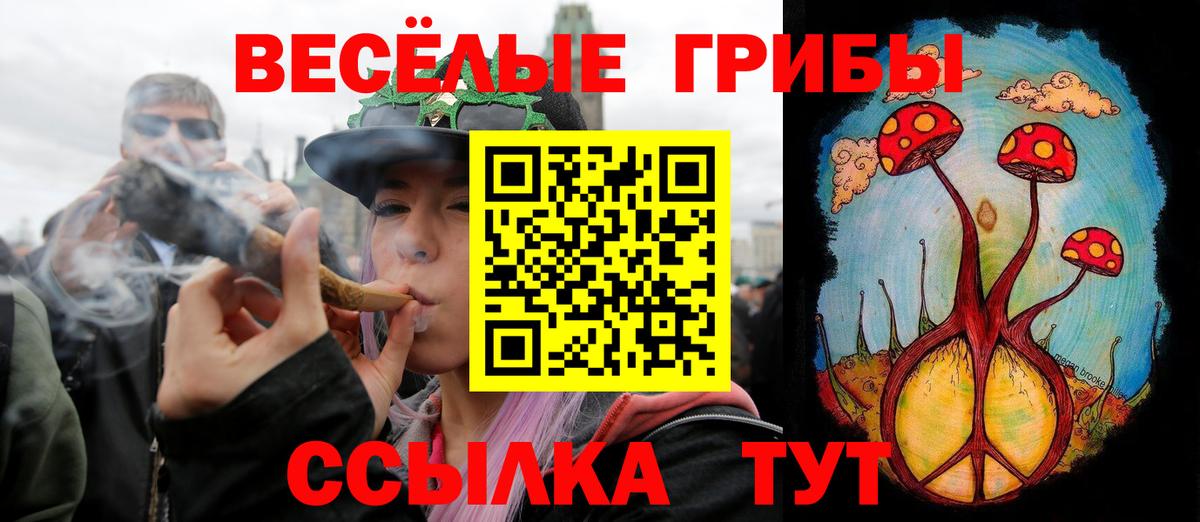Галлюциногенные грибы Cubensis Сосновоборск