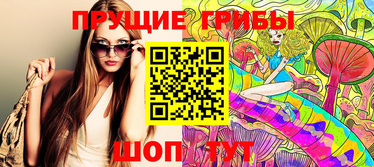 Сосновоборск  Галлюциногенные грибы ЛСД  Вход с VPN 